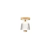 Asteea loftlampe, satin messing/riflet klar