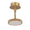 Asteria Spot væglampe / loftlampe, messing