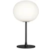 Glo-Ball T1, sort