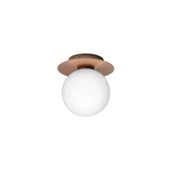 Liila 1 Outdoor væglampe / loftlampe, mørk bronze/opal