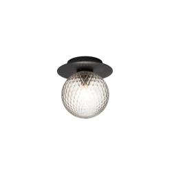 Liila 1 Outdoor væglampe / loftlampe, sort/klar