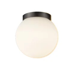 Palla Mini C90 væglampe/loftlampe, titanium